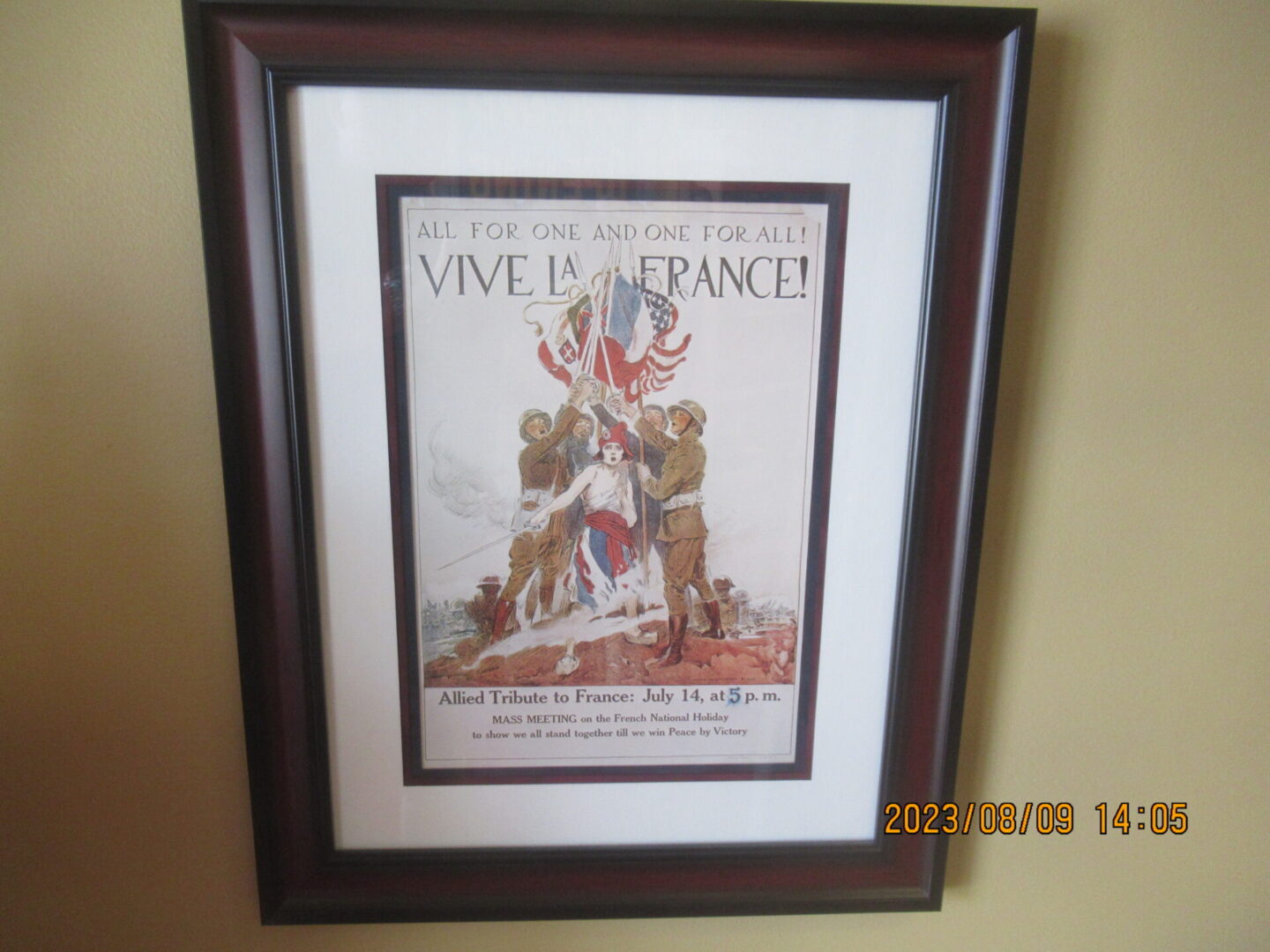 A framed poster of the french revolution.